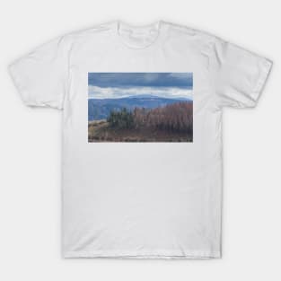 View to the Brocken in winter, Harz, Lower Saxony, Germany, Europe T-Shirt